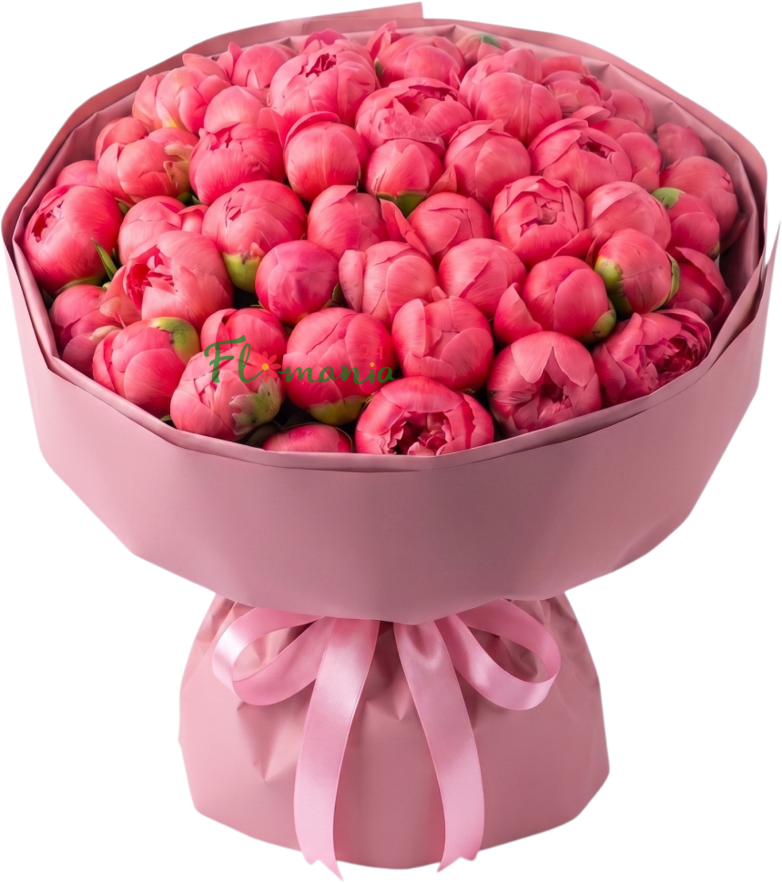 Букет из 51 розового пиона «Магия превращения»